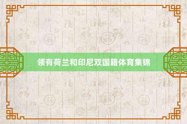 领有荷兰和印尼双国籍体育集锦