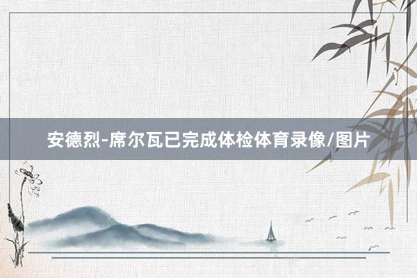 安德烈-席尔瓦已完成体检体育录像/图片