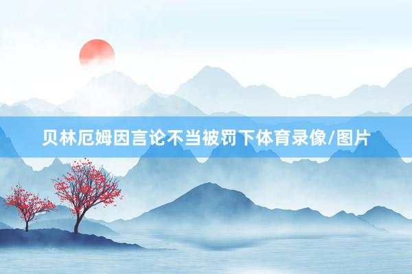 贝林厄姆因言论不当被罚下体育录像/图片