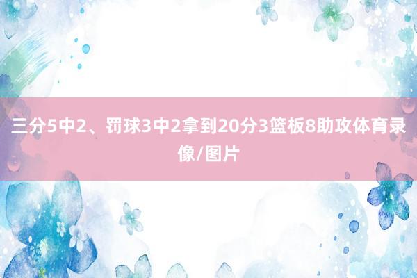 三分5中2、罚球3中2拿到20分3篮板8助攻体育录像/图片