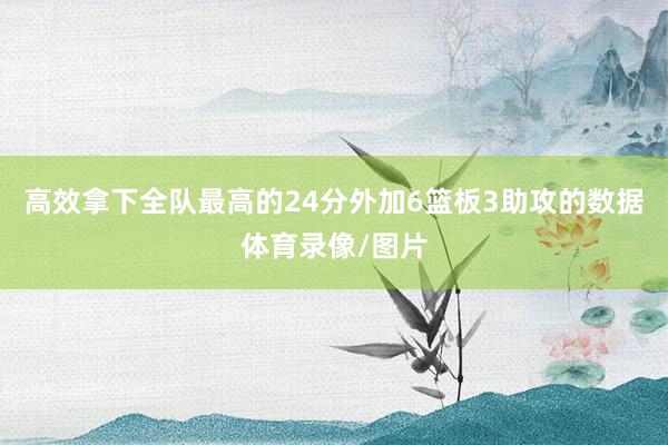 高效拿下全队最高的24分外加6篮板3助攻的数据体育录像/图片