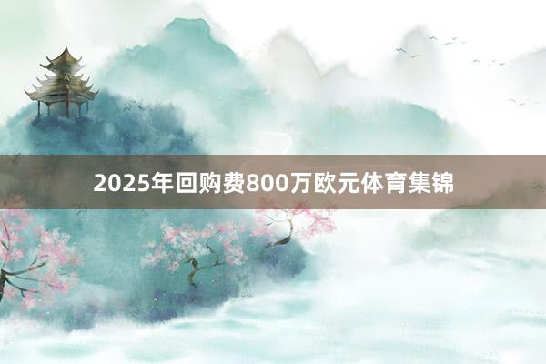 2025年回购费800万欧元体育集锦