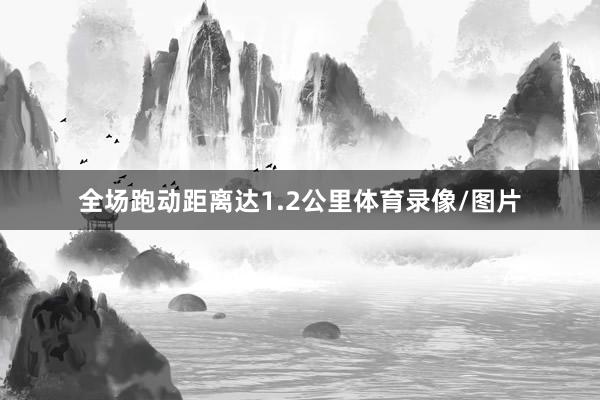 全场跑动距离达1.2公里体育录像/图片