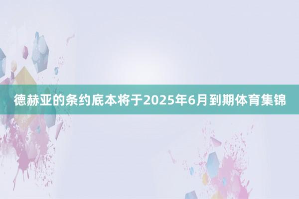 德赫亚的条约底本将于2025年6月到期体育集锦